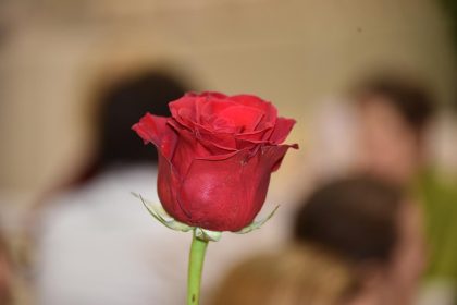 Cena dekana 2023